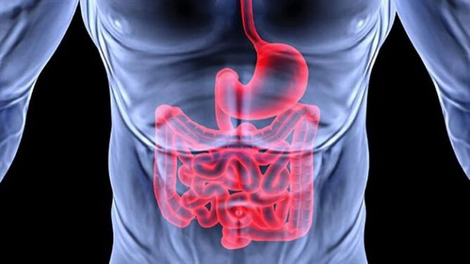Gastrointestinal sistem hastalıkları