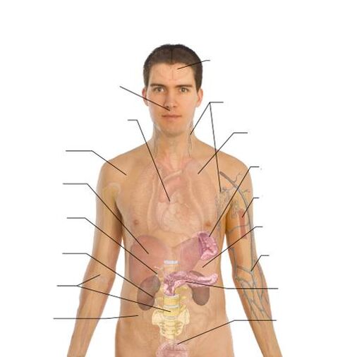 çeşitli organlarda parazitlerin varlığının belirtileri